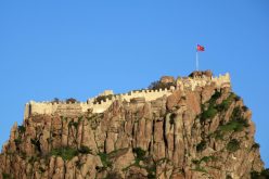 Afyon