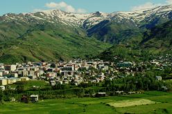 Muş