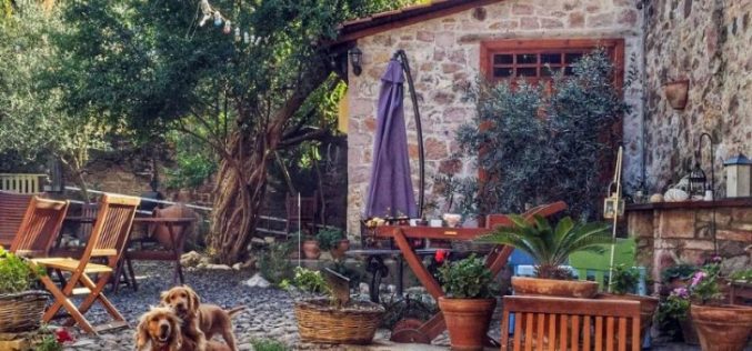 Where to Stay in Turkey