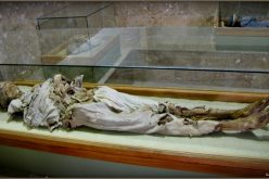 Nigde Museum