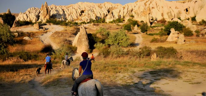 Horse Riding