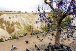 Pigeon Valley