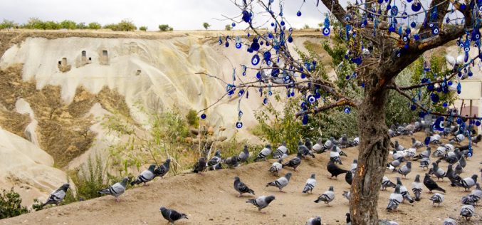 Pigeon Valley