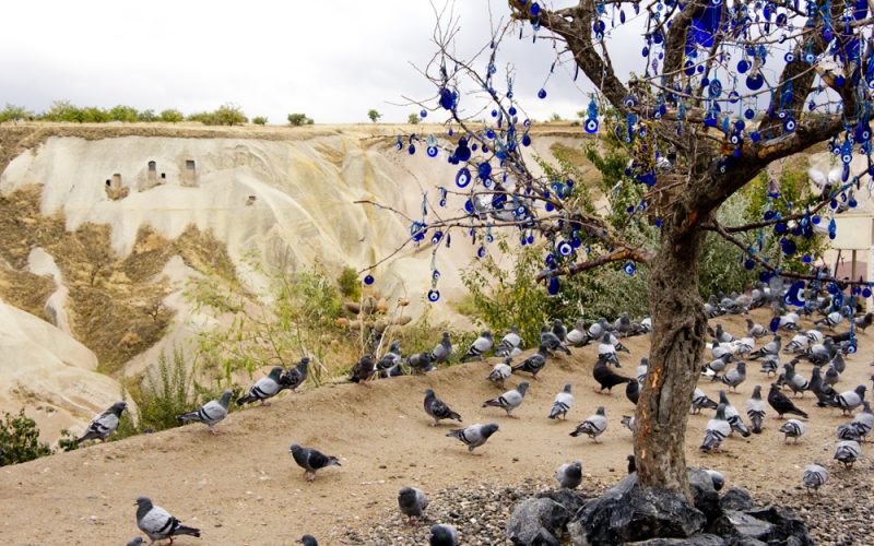 Pigeon Valley