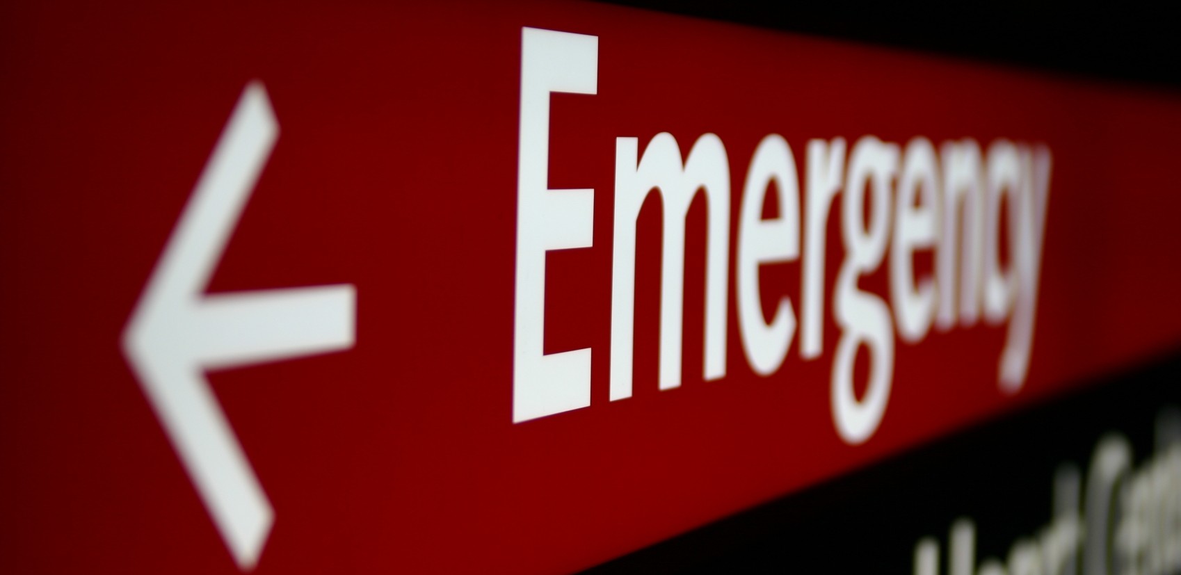 Turkey Most Dangerous Animals Turkey Travel Info