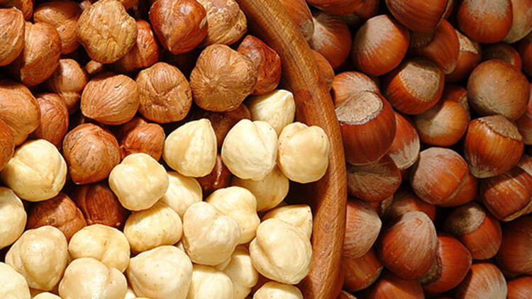Turkish Hazelnut