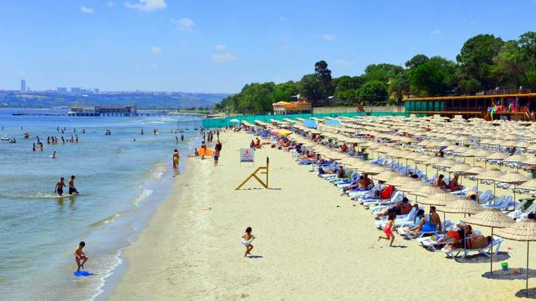Menekşe